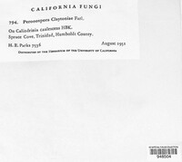 Image Associated With the Occurence